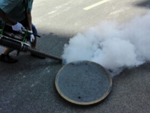 南海大瀝消殺四害公司:小區(qū)四害消殺