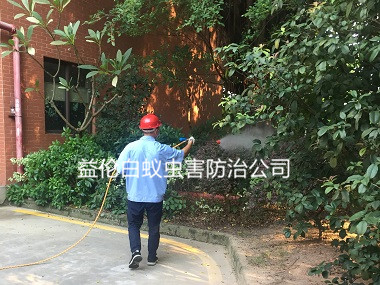 番禺企業除蟲滅蚊子