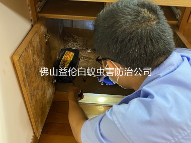 黃岐幸?；▓@小區白蟻防治