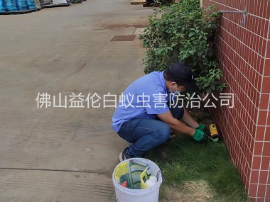 羅村布放滅鼠屋工程