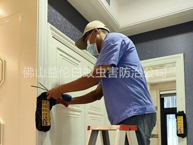 黃岐住宅白蟻防治工程