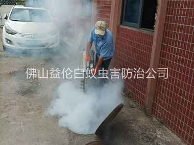 西樵環境蟑螂消殺工程