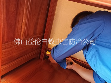 鹽步木質家具白蟻防治工程
