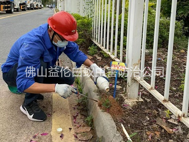 獅山紅火蟻防治工程