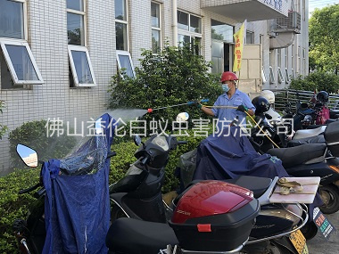 大瀝廠區殺蟲滅蚊工程