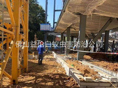 官窯新建白蟻預防工程