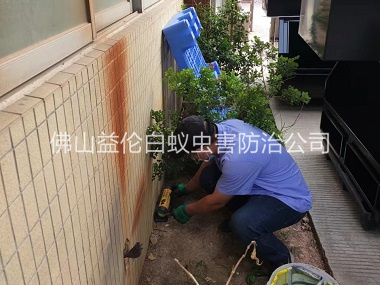 黃岐投放滅鼠裝置工程