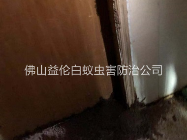 南海房屋防治白蟻工程