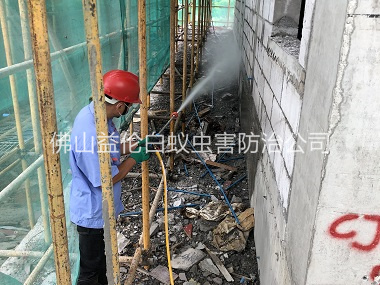 小塘建筑白蟻預防工程