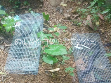 羅村驅蛇防蛇工程