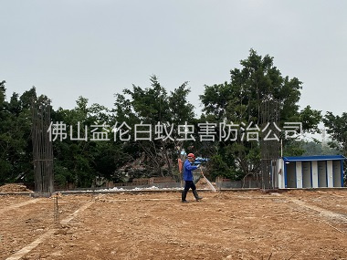 西樵新建地基預防白蟻工程