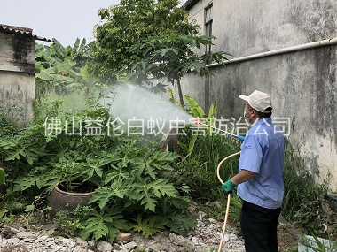 南海區消滅蚊子工程