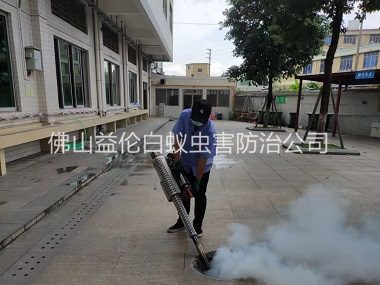 鹽步社區下水道滅蚊蟲工程