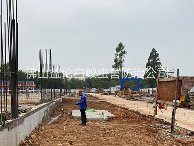 沙頭地基防白蟻工程